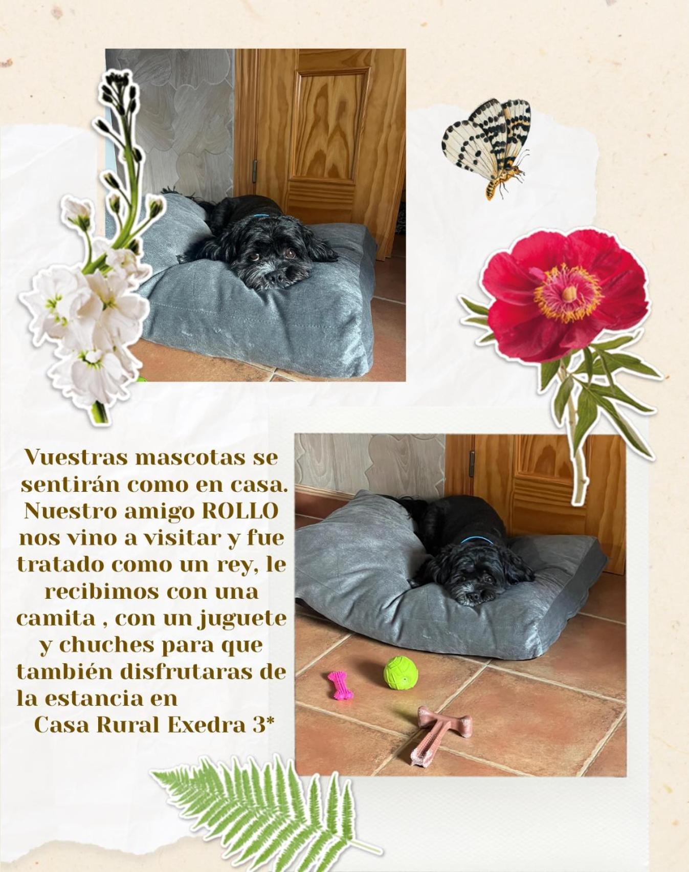 Casa Rural Exedra 3 Estrellas Carcaboso 外观 照片