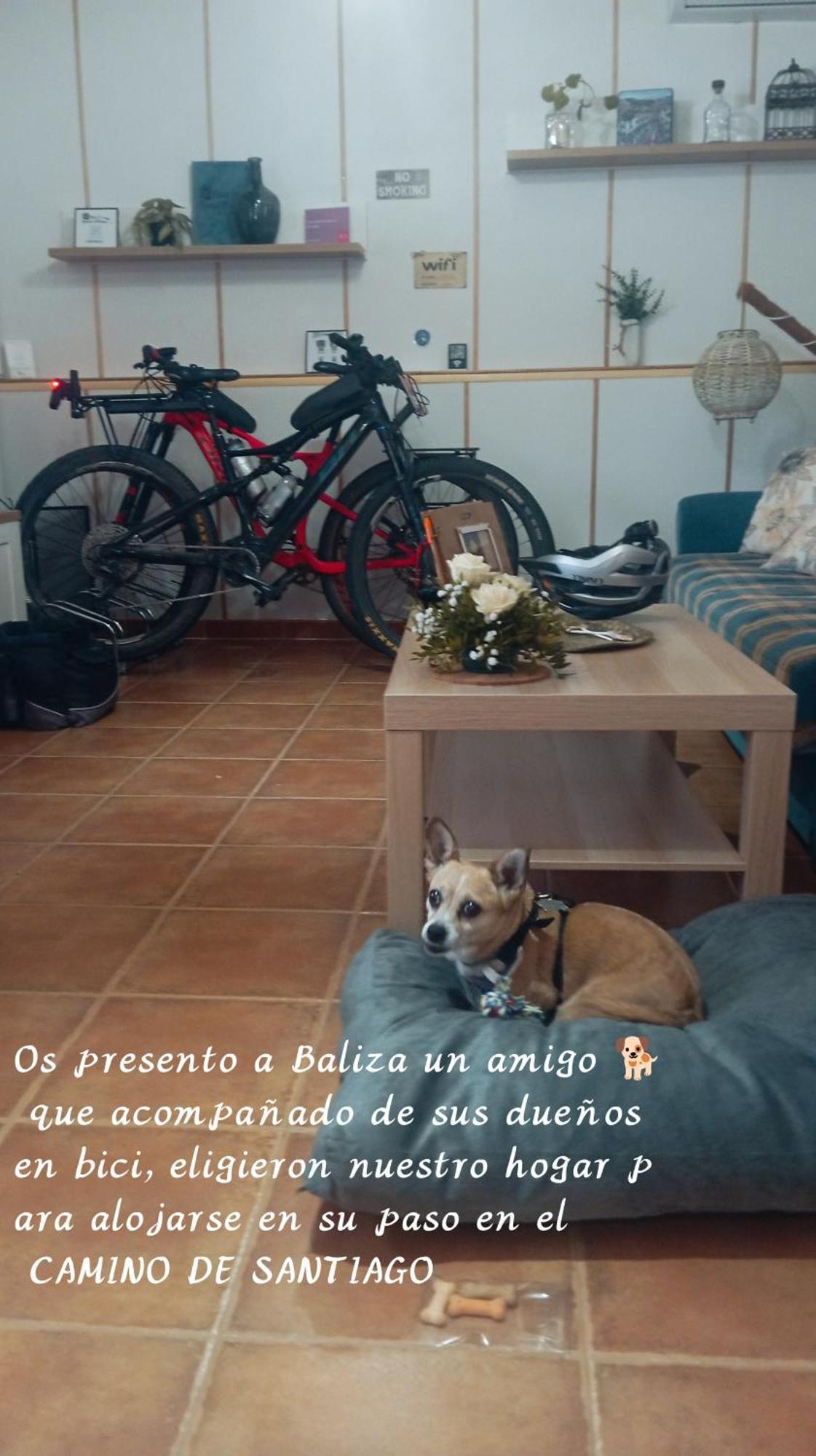Casa Rural Exedra 3 Estrellas Carcaboso 外观 照片